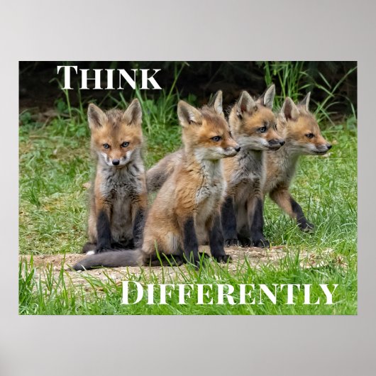 Denk anders aan Fox Poster (Voorkant)
