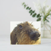 Denk daar eens over na... schattig Dachshund Briefkaart (Staand voorkant)