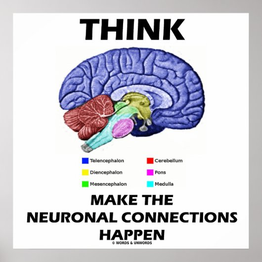 Denk dat de neuronale verbindingen gebeuren poster (Voorkant)
