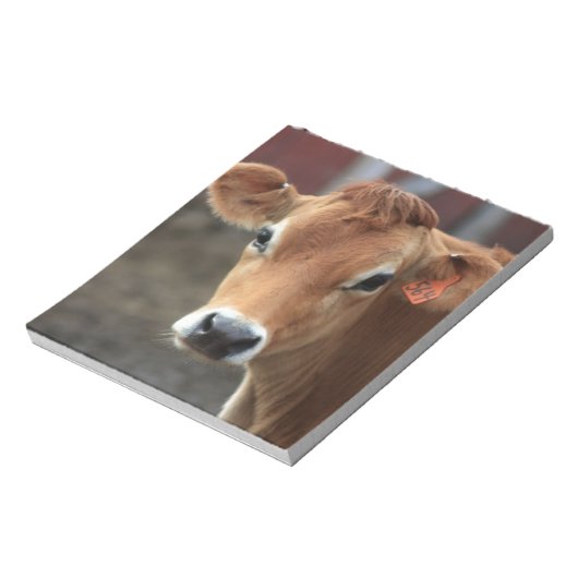 Denk je niet dat ik een mooie Jersey Cow ben? Notitieblok (Linkerzijde)