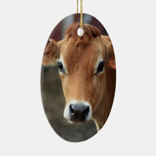 Denk je niet dat ik  Jersey Cow ben? Keramisch Ornament (Rechts)