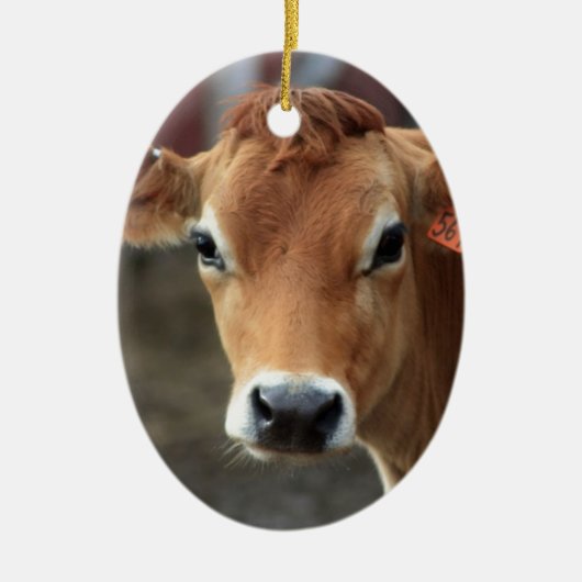 Denk je niet dat ik  Jersey Cow ben? Keramisch Ornament (Voorkant)
