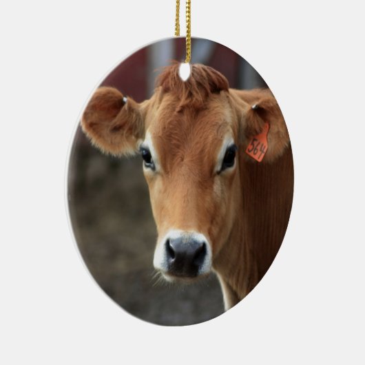 Denk je niet dat ik Jersey Cow ben? Keramisch Ornament (Rechts)