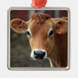Denk je niet dat ik  Jersey Cow ben? Metalen Ornament