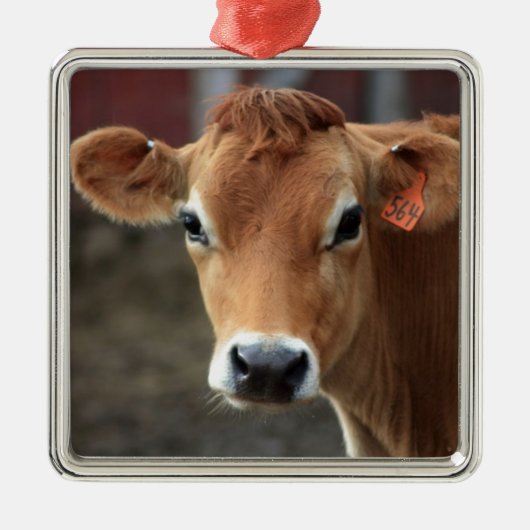 Denk je niet dat ik  Jersey Cow ben? Metalen Ornament (Voorkant)