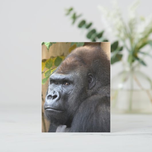 Denk niet eens dat het... briefkaart (Staand voorkant)