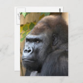 Denk niet eens dat het... briefkaart (Voorkant / Achterkant)