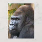 Denk niet eens dat het... briefkaart (Voorkant)