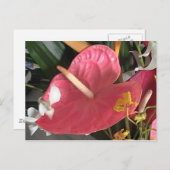 Denk roze briefkaart (Voorkant / Achterkant)