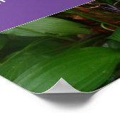 Denk vandaag na en spreek wijsheid gezegde foto po poster (Hoek)