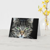 Denk zo ver weg aan Angry Cat Kaart (Gele Bloem)