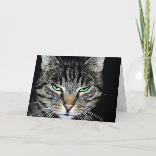 Denk zo ver weg aan Angry Cat Kaart (Voorkant)