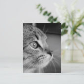 denkbeeld voor zwart-wit kattepapier briefkaart (Staand voorkant)