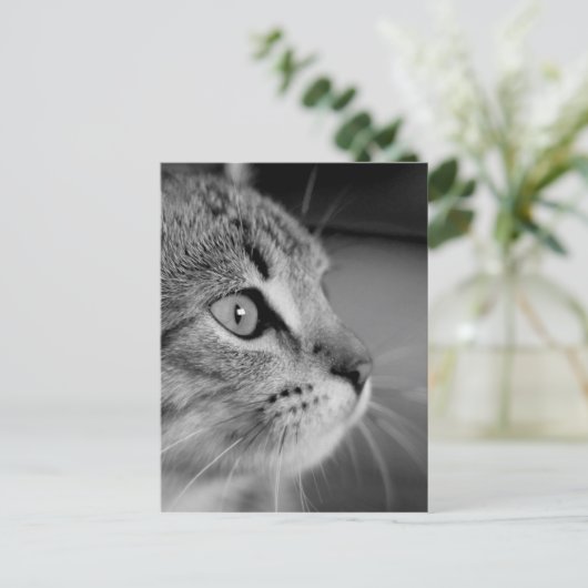 denkbeeld voor zwart-wit kattepapier briefkaart (Staand voorkant)