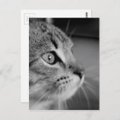 denkbeeld voor zwart-wit kattepapier briefkaart (Voorkant / Achterkant)