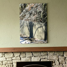 Denkbeeldige Schaduw Winter Boom Kunstzinnige foto