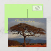 Denken aan Afrika Briefkaart (Voorkant / Achterkant)