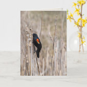 denken aan een rode, gevlekte zwarte vogel op droo kaart (Gele Bloem)