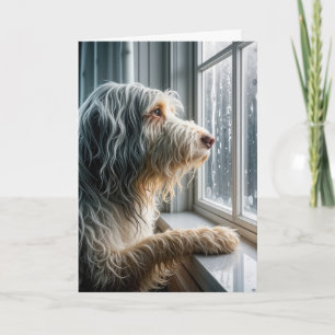 Denken aan je baarde collie een regenachtig raam kaart