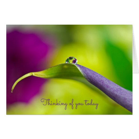 denken aan je dewdrop op het blad (Voorkant Horizontaal)