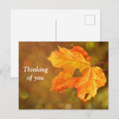 Denken aan je Herfst Briefkaart (Voorkant / Achterkant)