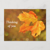 Denken aan je Herfst Briefkaart (Voorkant)