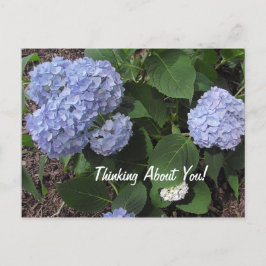 Denken aan je Hibiscus Purple Flowers Briefkaart