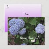 Denken aan je Hibiscus Purple Flowers Briefkaart (Voorkant / Achterkant)