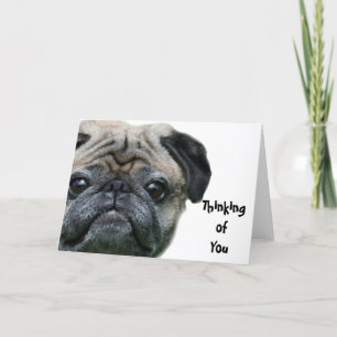 Denken aan je hond wenskaart kaart