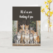 Denken aan je leuke groep katten kaart (Gele Bloem)