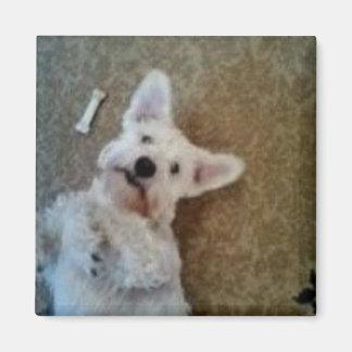 Denken aan je magneet