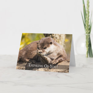 Denken aan je Otter Wenskaart Kaart
