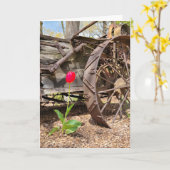 Denken aan je oude wagen en rode tulp kaart (Gele Bloem)