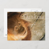 Denken aan jou aap briefkaart (Voorkant / Achterkant)