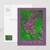 "DENKEN AAN JOU" BLOEMEN BRIEFKAART (Voorkant / Achterkant)