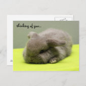 denken aan jou... briefkaart (Voorkant / Achterkant)