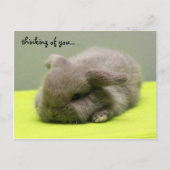 denken aan jou... briefkaart (Voorkant)