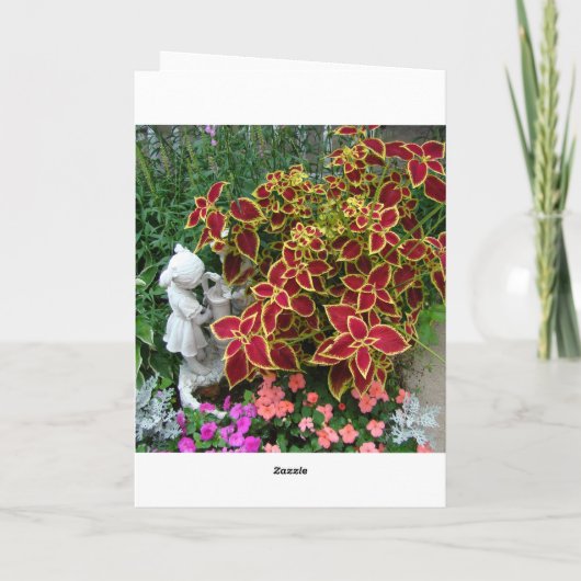 Denken aan jou, Coleus met pomp beeldje Kaart (Achterkant)