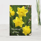 "Denken aan jou" Daffodil Kaart (Voorkant)