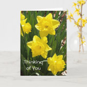 "Denken aan jou" Daffodil Kaart (Gele Bloem)