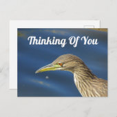 Denken aan jou dan vogel lange afstand vriendschap briefkaart (Voorkant / Achterkant)