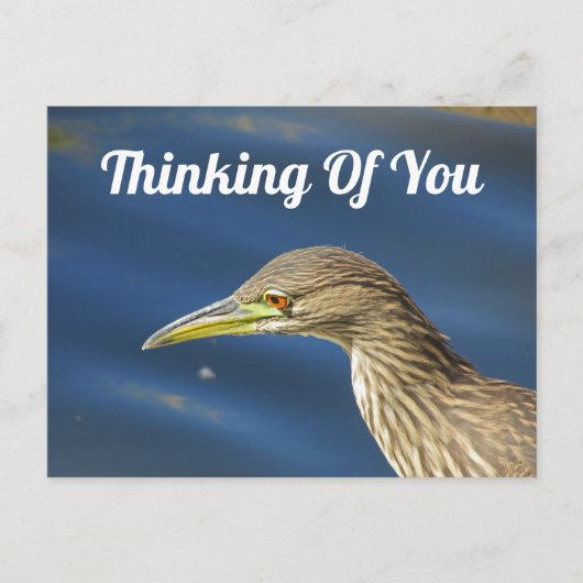 Denken aan jou dan vogel lange afstand vriendschap briefkaart (Voorkant)