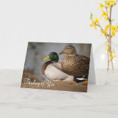 "Denken aan jou" Ducks Kaart (Gele Bloem)