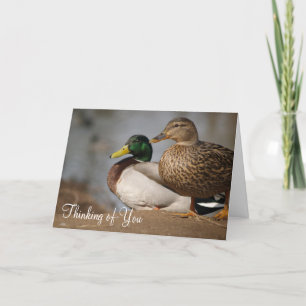 "Denken aan jou" Ducks Kaart