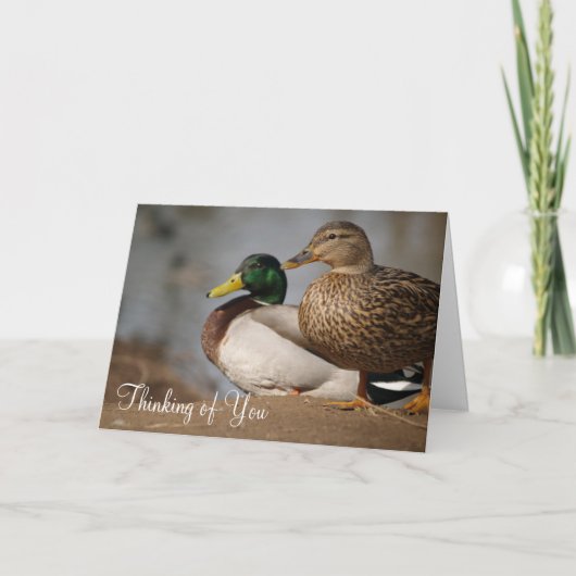 "Denken aan jou" Ducks Kaart (Voorkant)