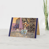 Denken aan jou - Hond die een zon Pet draagt Kaart (Voorkant)