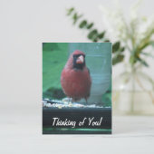 Denken aan jou kardinaal briefkaart (Staand voorkant)