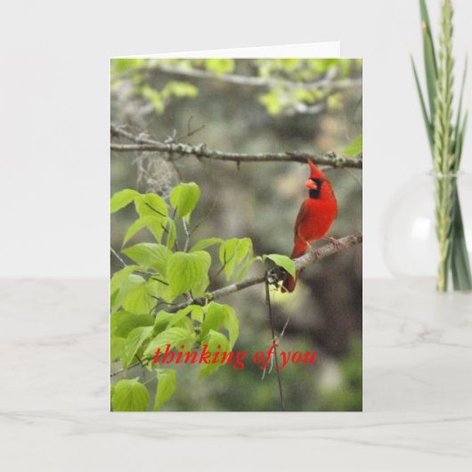 Denken aan jou/kardinaal kaart (Voorkant)
