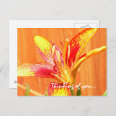 Denken aan jou Lily Briefkaart (Voorkant / Achterkant)