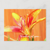 Denken aan jou Lily Briefkaart (Voorkant)